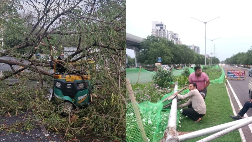 Heavy rain and storm in Greater Noida caused trees to fall power outage and traffic jam