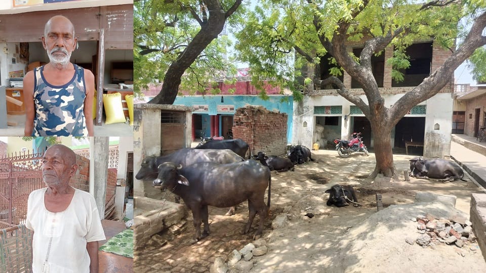 Milk is not sold in Anjani village of UP