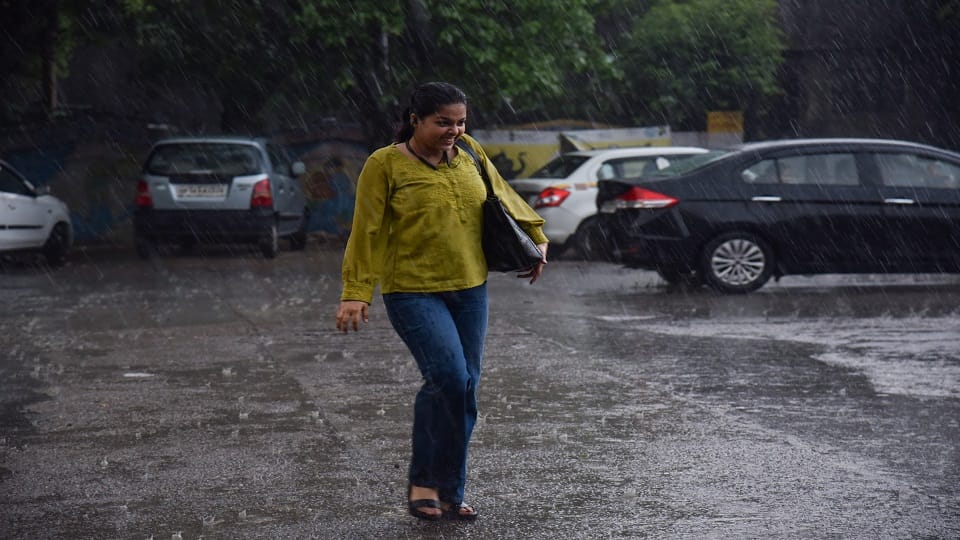Weather Forecast Yellow alert for rain for tomorrow