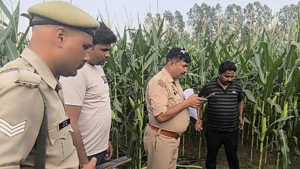 Moradabad: 20-year-old girl stabbed to death, body found in a corn field
