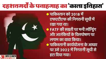 Financial Action Task Force FATF Terrorist Modus Operandi in India State Sponsored Terrorism Pakistan