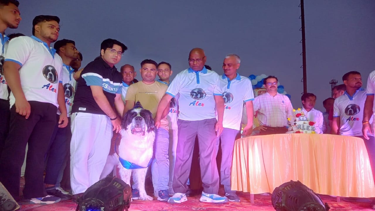 11 kg cake cut on dog Alex's birthday in Meerut
