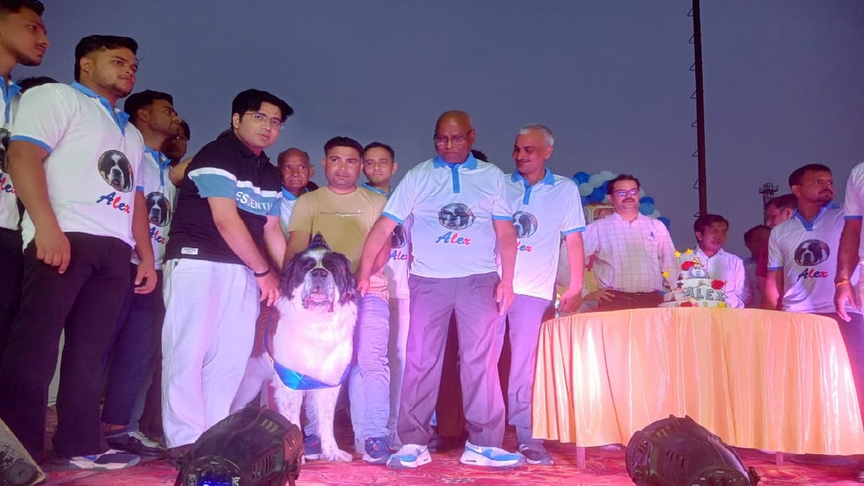 11 kg cake cut on dog Alex's birthday in Meerut