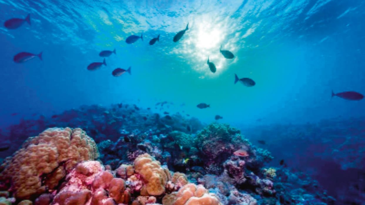 Study reveals between 2003 and 2022 about 21 percent of world oceans to become dark