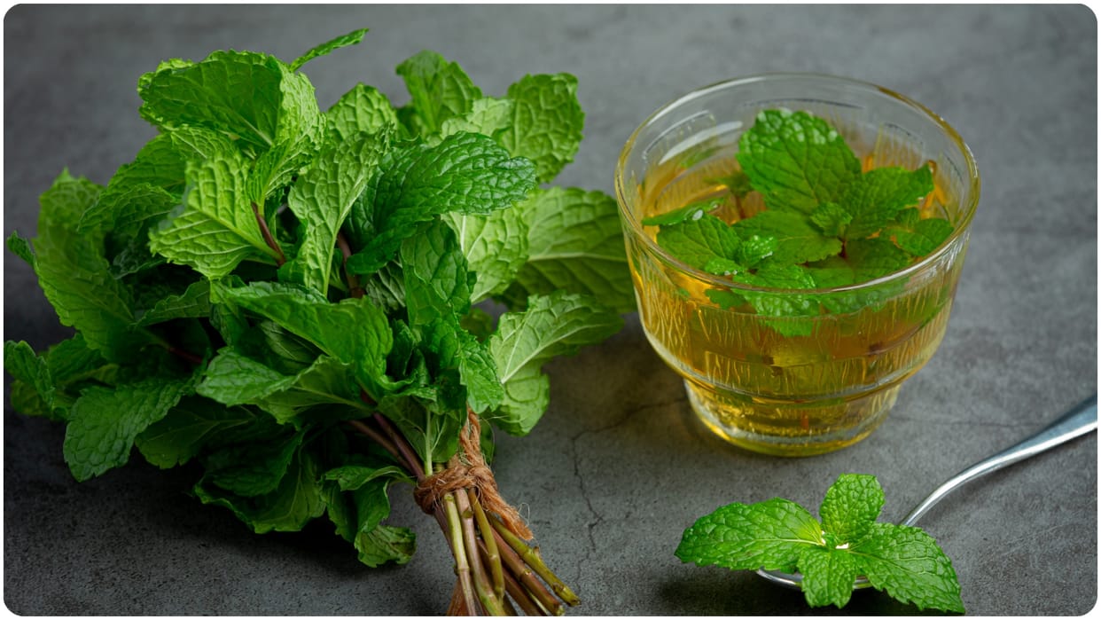 Best Morning Drinks For Health Problems Thyroid Diabetes Hair Skin Morning Drink