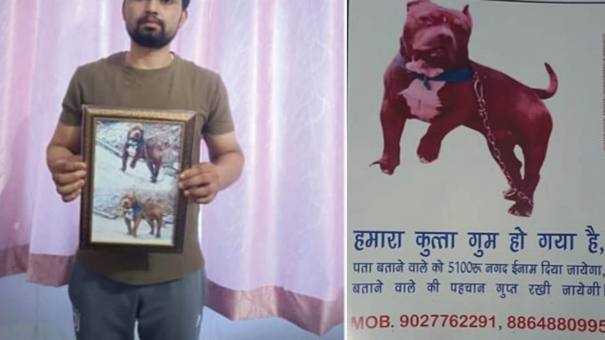 5100 rupees reward for finding missing dog in Bulandshahr