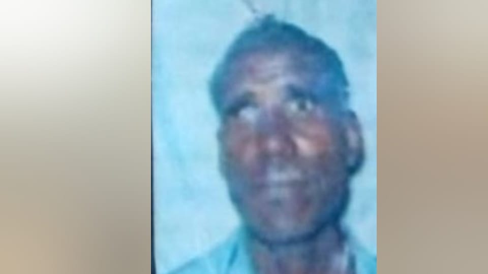 Chitrakoot Road Accident 5 Killed in Road Accident Groom Married 26 Days Ago Among the Dead