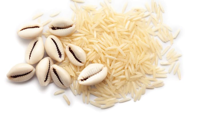 Vastu Shastra 5 auspicious things to keep at home for money wealth and prosperity