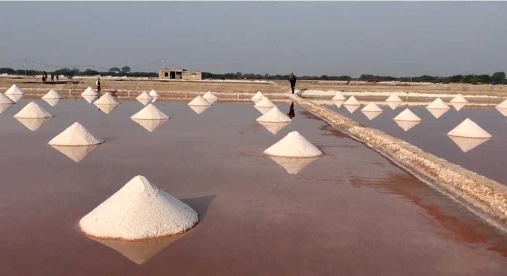 Jaipur News Sambhar Lake Water Crisis Migration Due to Water Shortage in Rajasthan Know Details in Hind