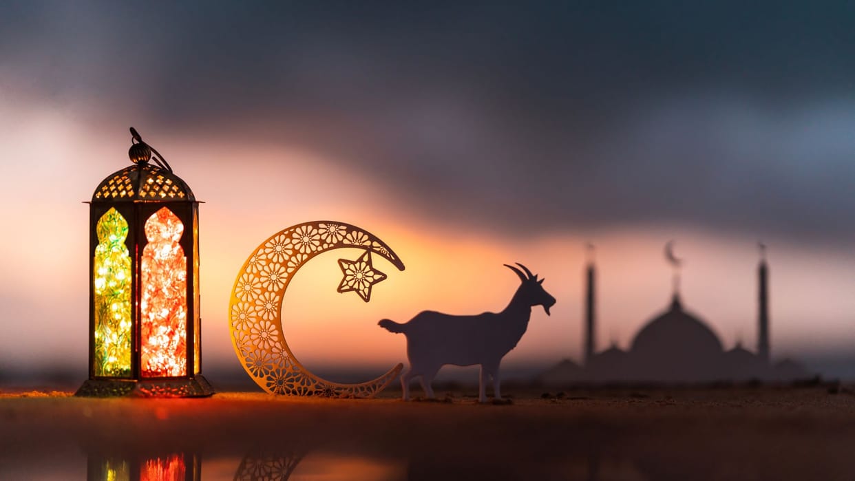 Delhi government bans sacrifice of camel and cow on Bakrid