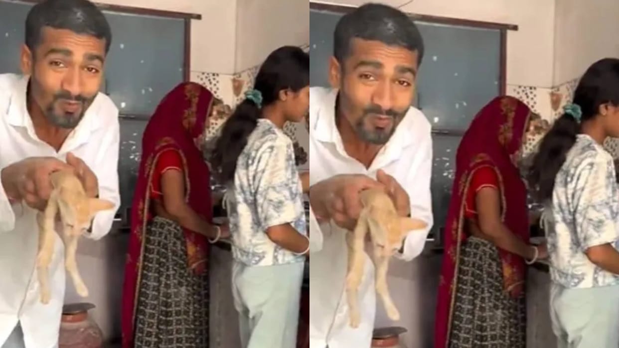 Brother brought a cat in the kitchen to tease his sister mother beat him with utensils Video goes Viral