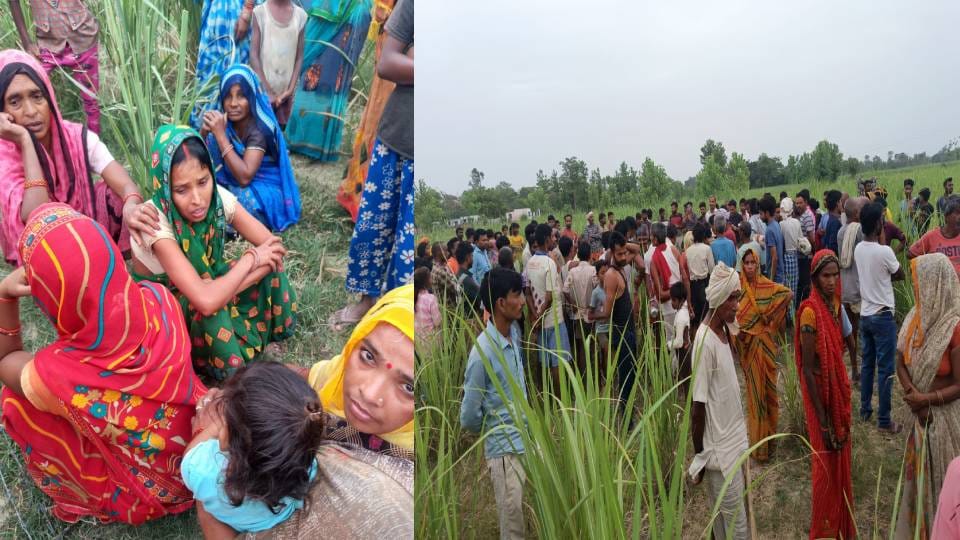 wolf carried away an innocent child and chewed off both his hands and one leg In Bahraich