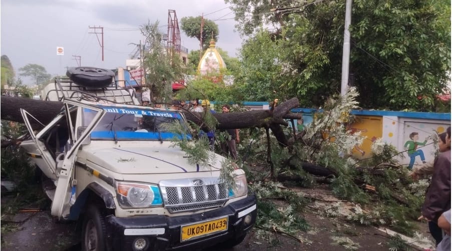 Dehradun Accident on Chakrata Road, big tree fell on a moving vehicle, one passenger died, many injured