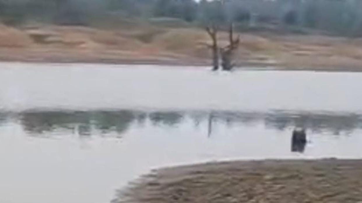 A woman body was found in Chornai river Korba