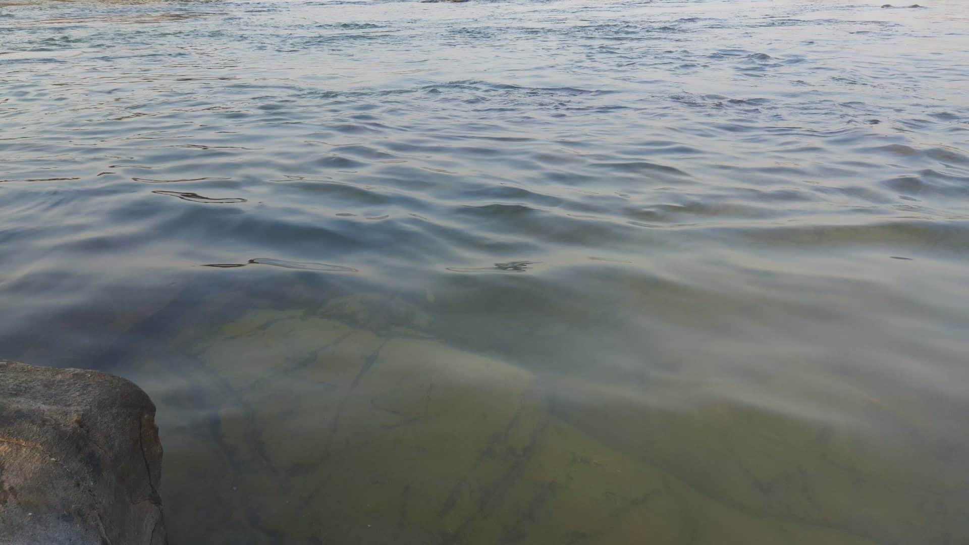 Dalahi Pond India Mysterious Pond Where Water Rises When You Clap Check location Key details in hindi