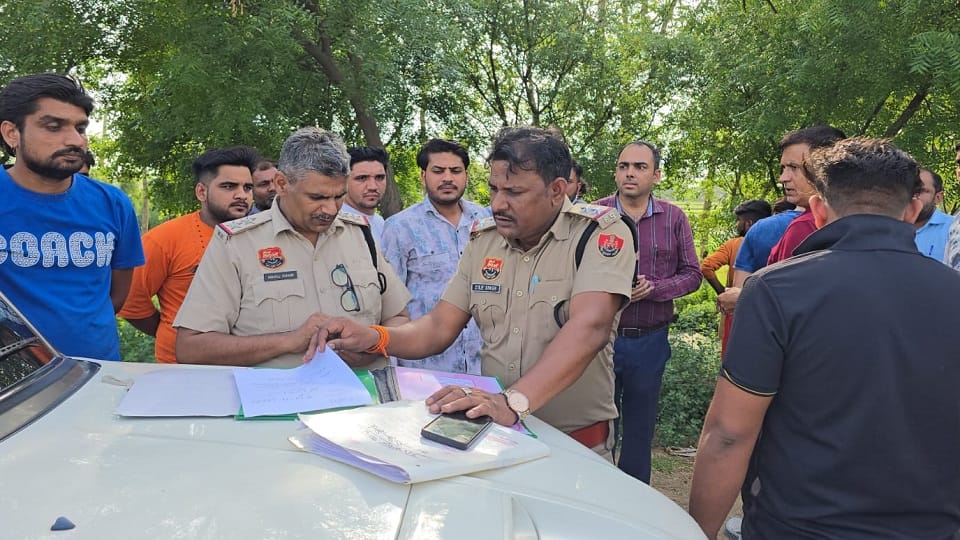22 cattle crushed by a trolley in Jhajjar