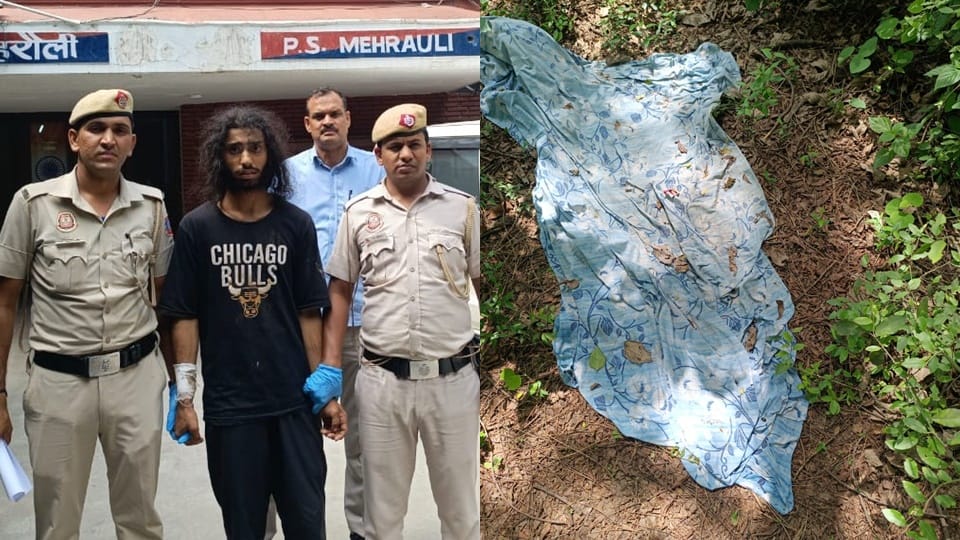 Mehrauli Murder Case: Man Kills DU Student, Tries to Burn Body in Forest Over Relationship Dispute