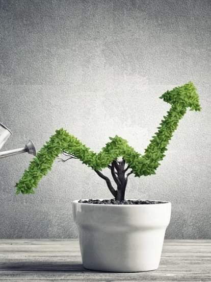 Mutual Fund SIP Investment Plan