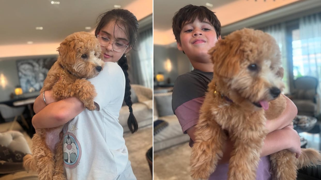 Karan Johar Introduces New Johar Family New Member Nugget Johar Shares Photos with Kids