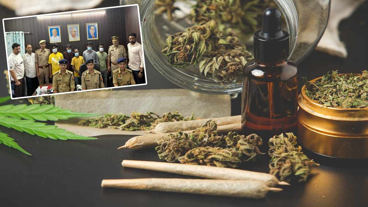 After hashish, cocaine, MDMA, now there is demand for Thailand OG Ganja