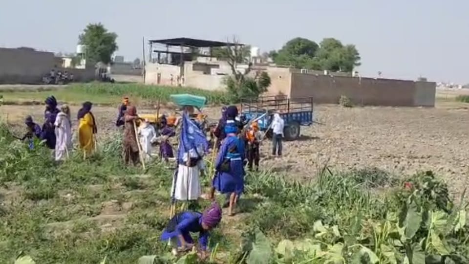 Nihangs occupied land and installed Nishan Sahib in Firozpur ran tractor over crops