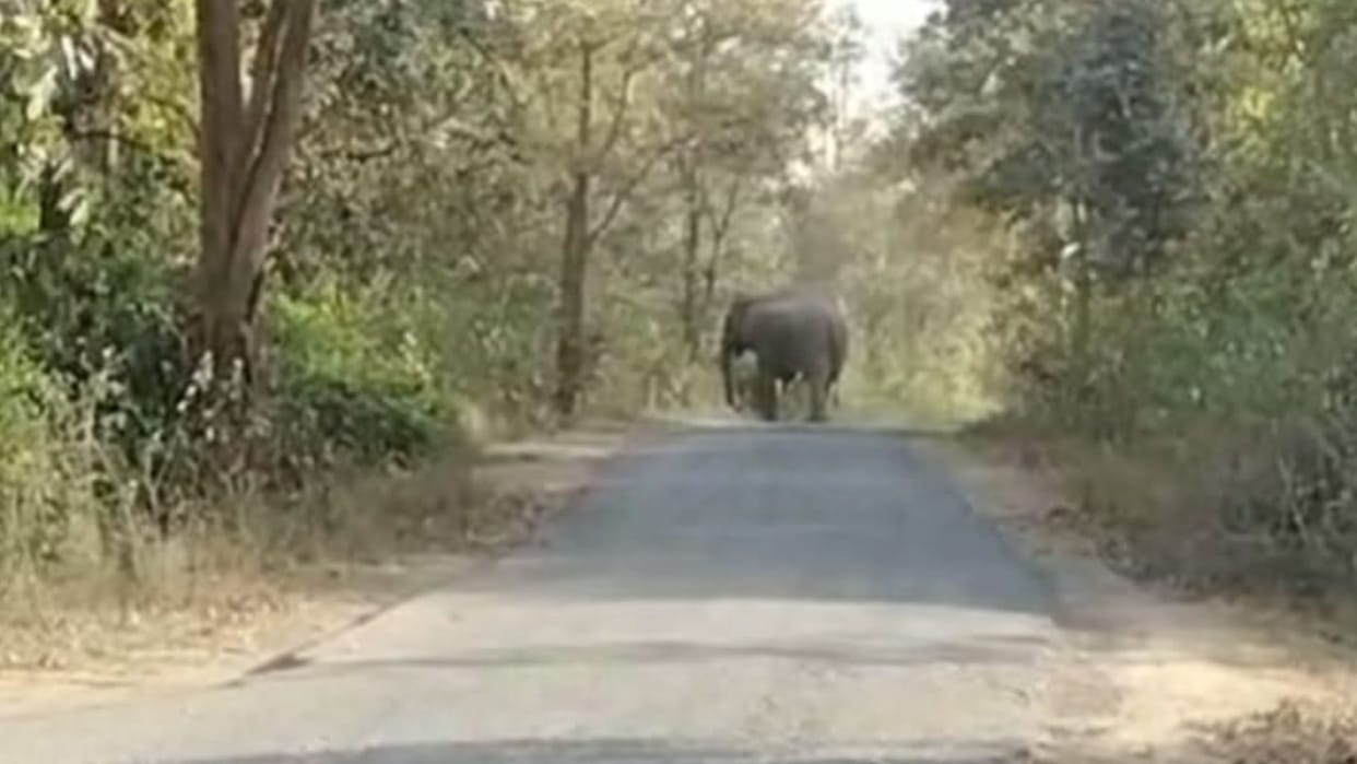 person died due to the attack of a tusker male elephant in Purushottampur
