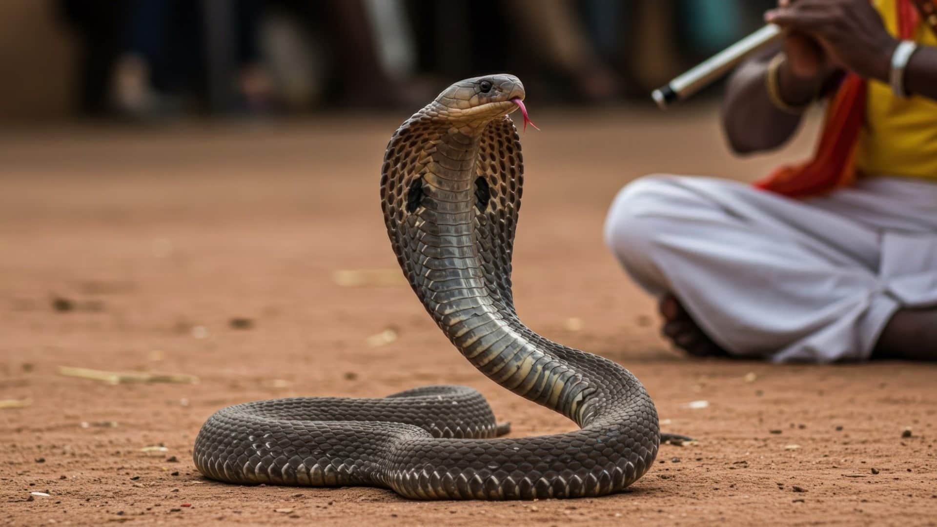 Why snakes have forked tongues Discover the Mystery Behind It saanp ki jeebh kyu do hisse me hoti hai