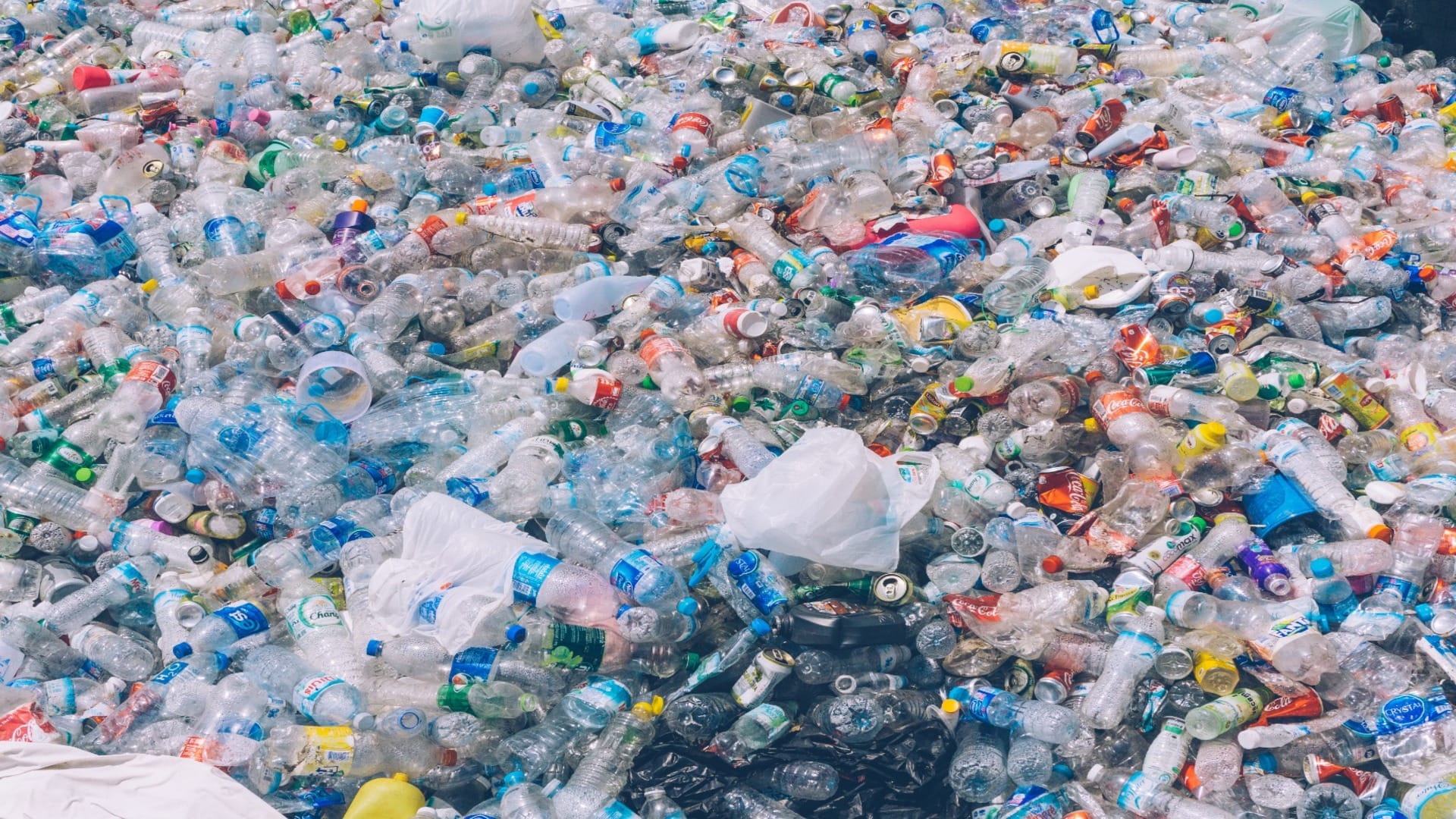 World Environment Day 2025 Plastic Pollution And Its Challanges And Impact