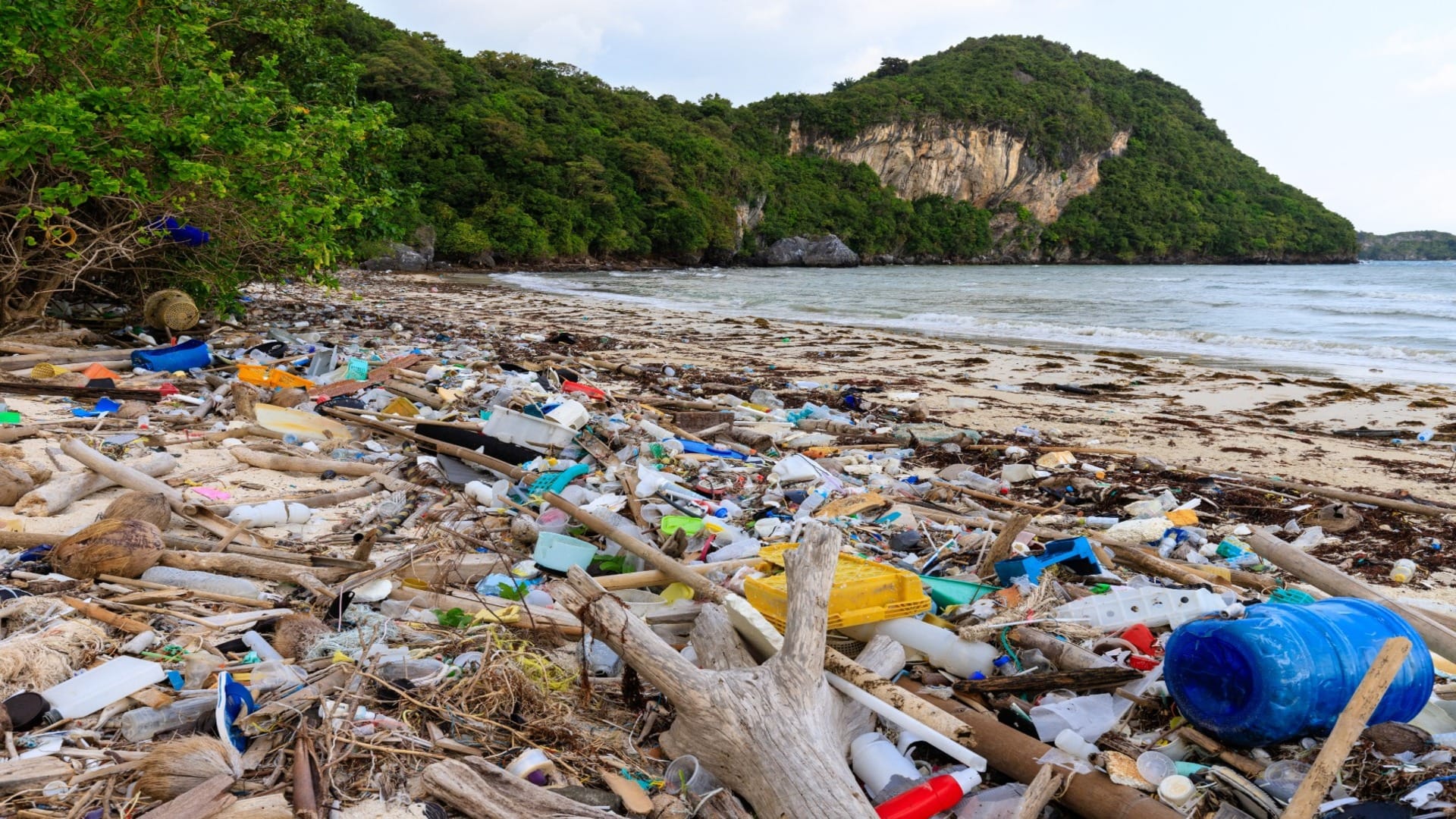 World Environment Day 2025 Plastic Pollution And Its Challanges And Impact