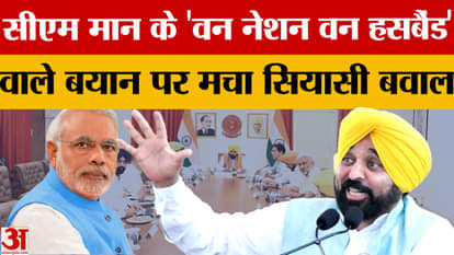 Punjab: BJP targeted Bhagwant Mann's statement on PM Modi and Operation Sindoor