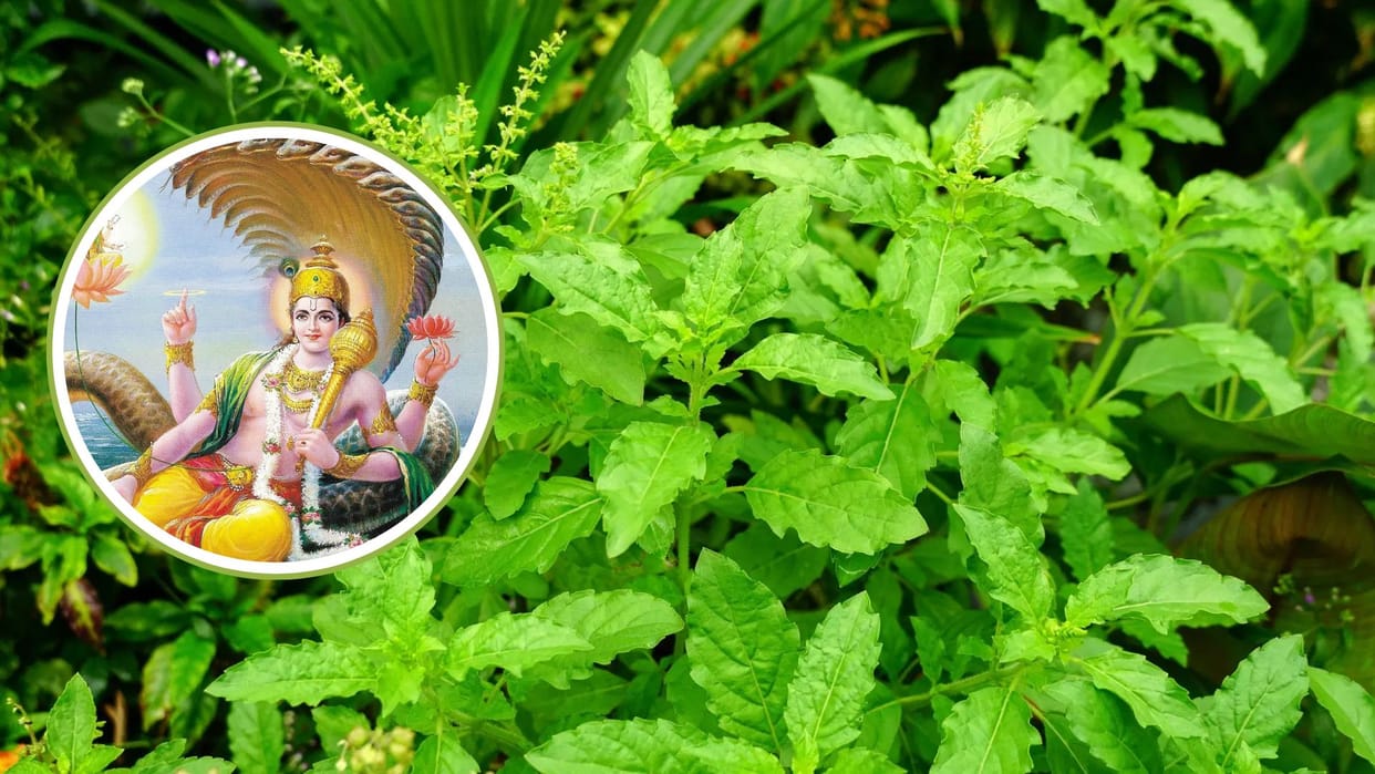 Nirjala Ekadahi 2025 6 June Do Not Make These Five Mistakes On Nirjala Ekadashi