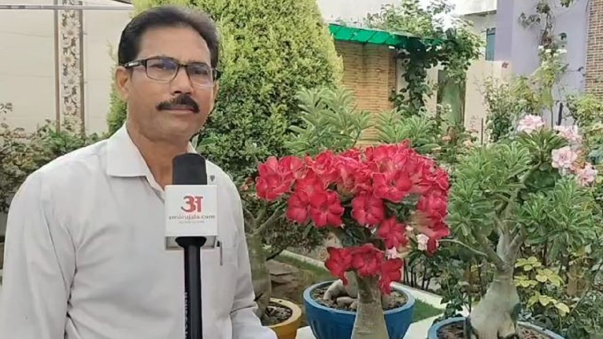 World Environment Day Professor decorated a beautiful garden in his house