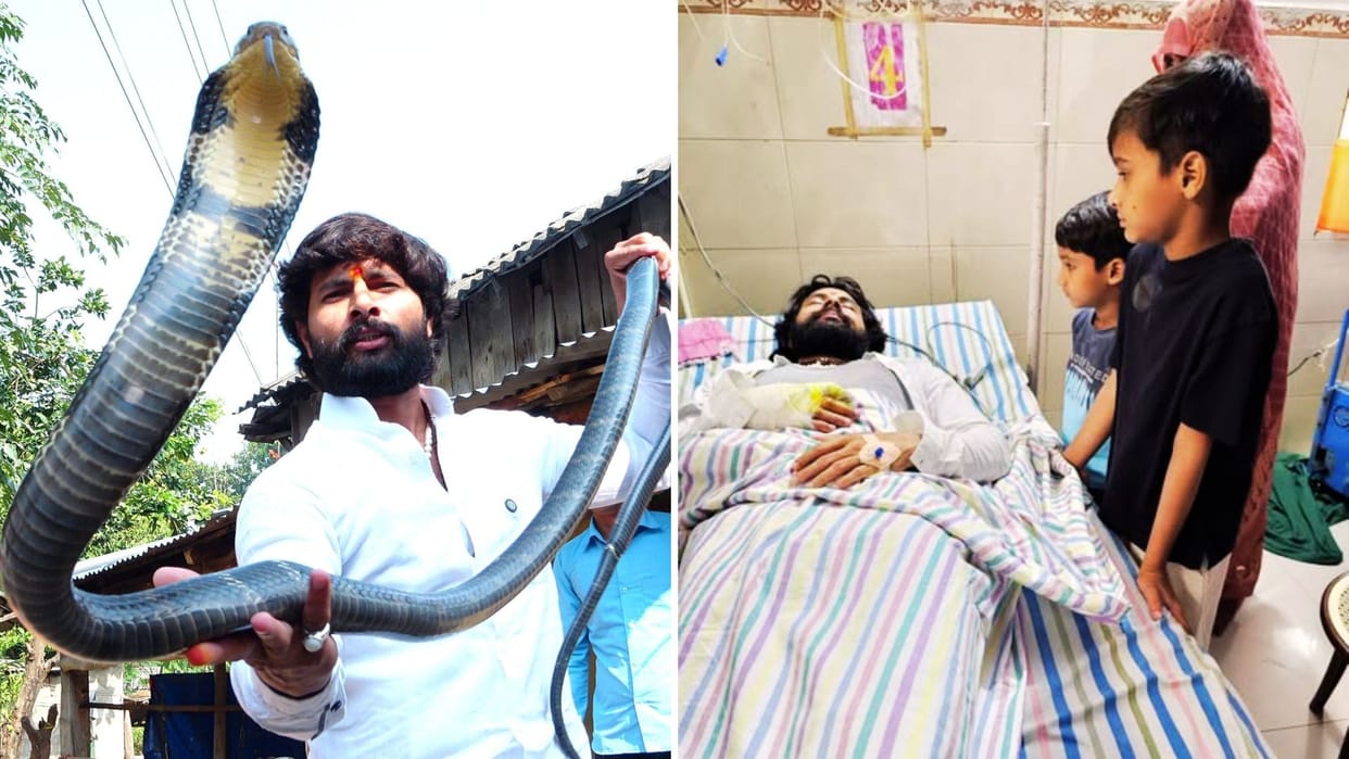 Murli Wale Haushla caught thousands of snakes King Cobra attacked him followers are praying for him