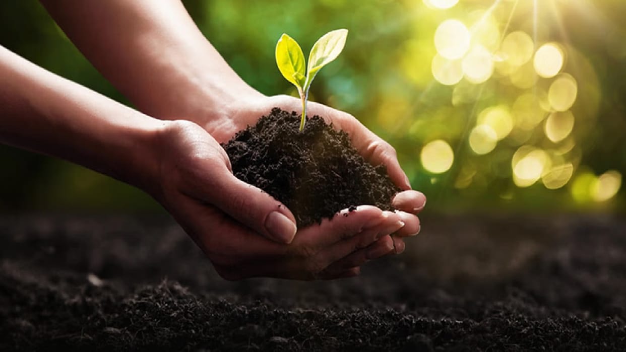 World Environment Day: Poster competition on 'Plastic Pollution-Effects and Solutions' on June 5 in Raipur