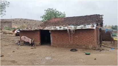 Mysterious Animal Strikes Fear in MP: 6 Dead, 17 Attacked in 12 Days The Shocking Hunt and Untold Story