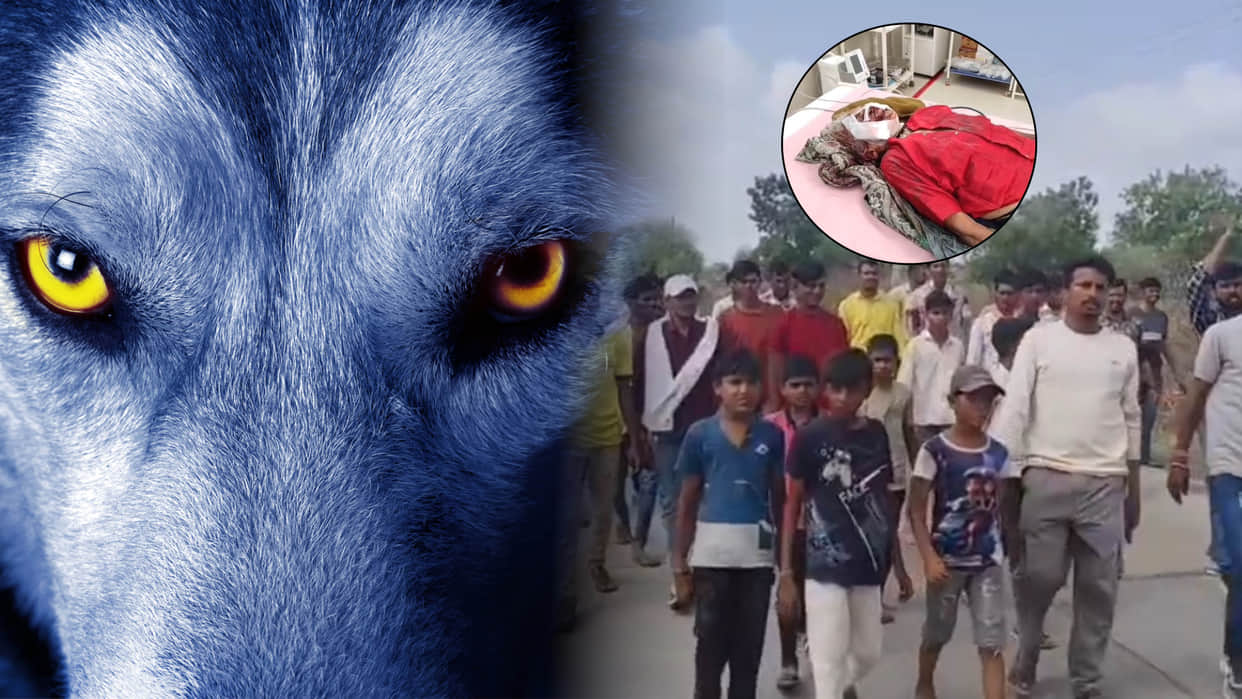 Mysterious Animal Strikes Fear in MP: 6 Dead, 17 Attacked in 12 Days The Shocking Hunt and Untold Story