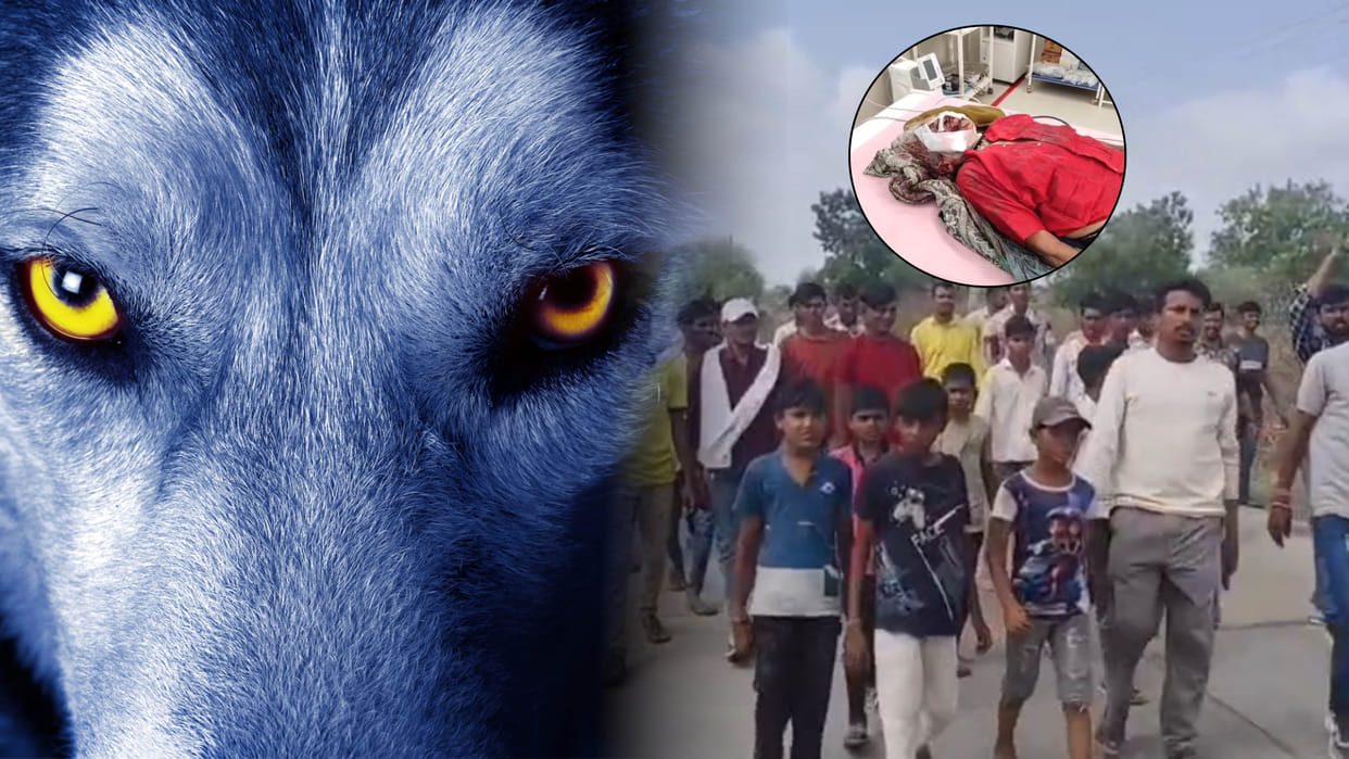 Mysterious Animal Strikes Fear in MP: 6 Dead, 17 Attacked in 12 Days The Shocking Hunt and Untold Story