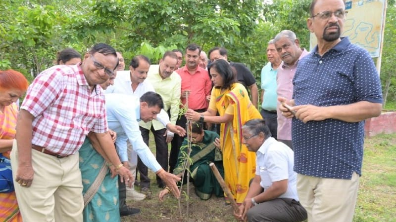 Indore News: Abhyas Mandal's Panchvati Plantation Drive Inspires Citizens Ahead of World Environment Day