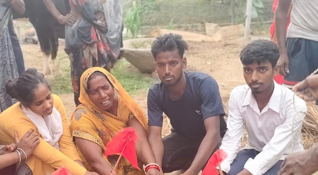 Bihar News: A woman died after being bitten by a poisonous snake hidden in a bush
