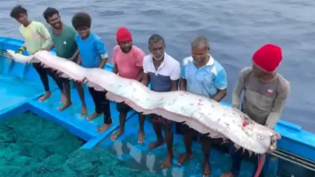 Tamil Nadu Fishermen found a Doomsday Fish in the sea is it pointing towards some big catastrophe