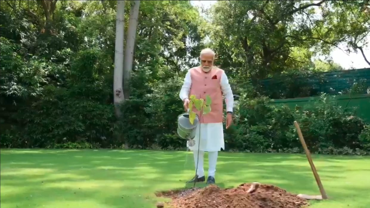 PM Narendra Modi planted vermilion plant his residence on World Environment Day