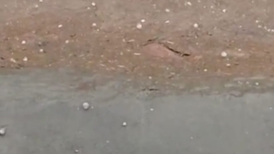 Hail fell along with rain in Hisar