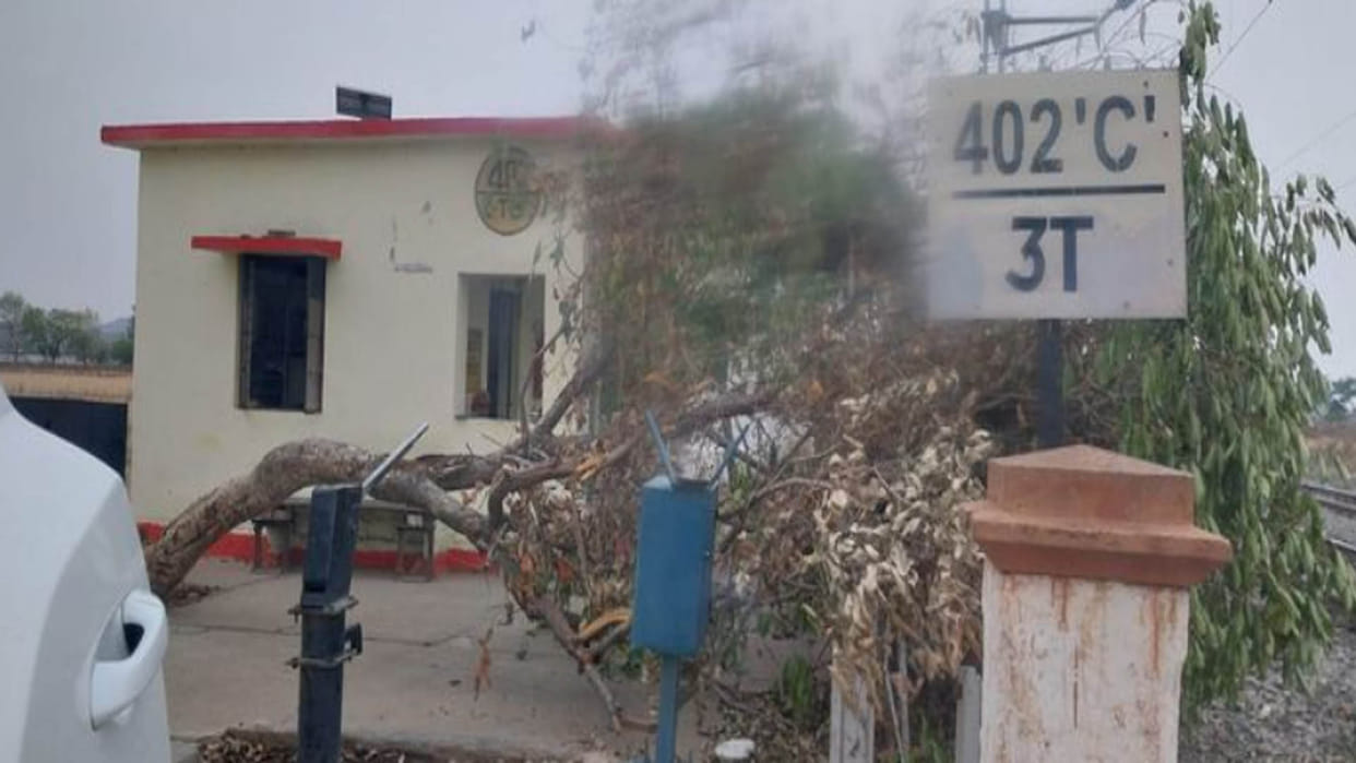Chitrakoot: Tree fell near railway crossing, goods trains stopped, officials got tree cut and removed