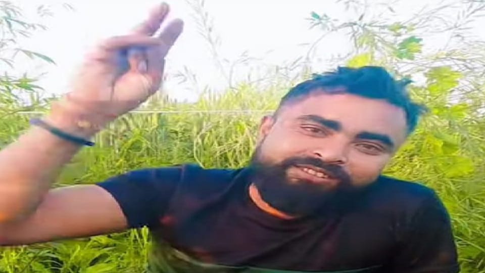 A young man blood-soaked body was found, murder alleged