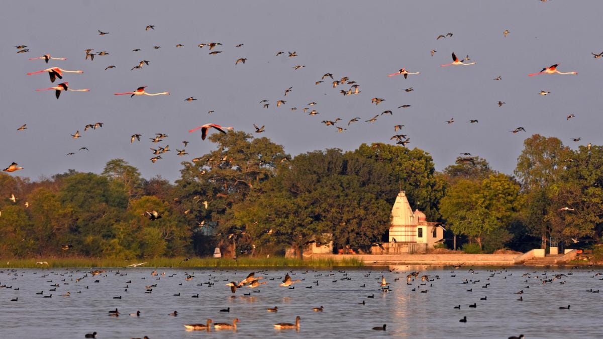 World Environment Day: Udaipur's Menar and Phalodi's Kheechan included in India's wetland heritage