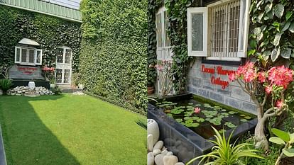 Special on Environment Day: vertical garden temperature of the house will reduce by 5 to 6 degrees