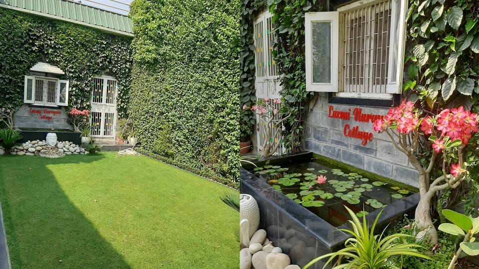 Special on Environment Day: vertical garden temperature of the house will reduce by 5 to 6 degrees
