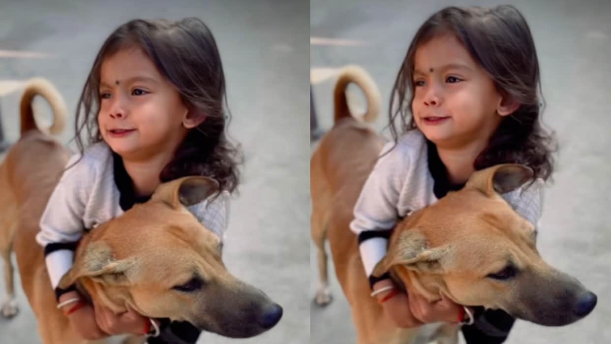 Viral Video Video of friendship between girl and dog goes viral Will become emotional after watching