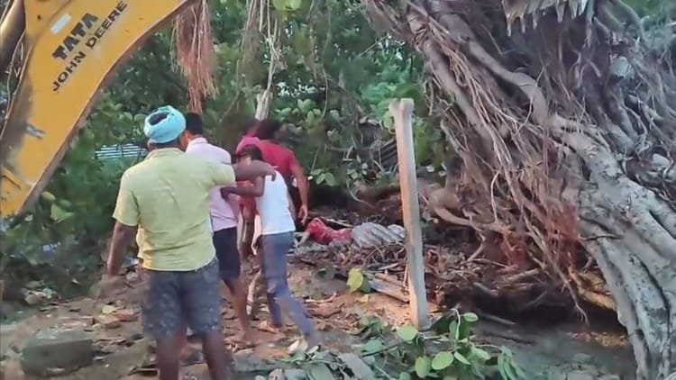 Bihar News : तेज आंधी बारिश में महिला बच्ची समेत तीन लोगों की मौत, पेड़ गिरने से हुआ हादसा