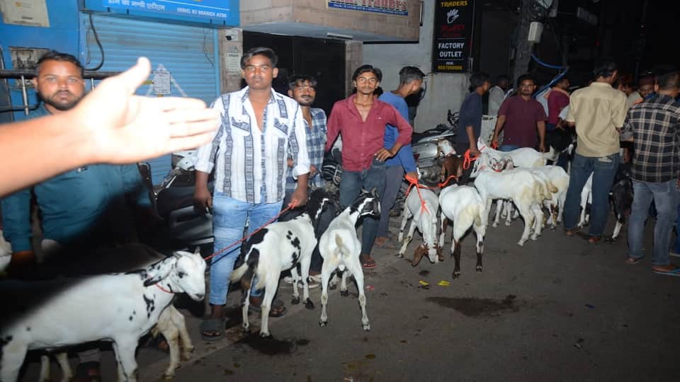 Rate of Bakra high on Bakreed 2025 available on different variants in agra